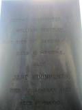 image of grave number 164041